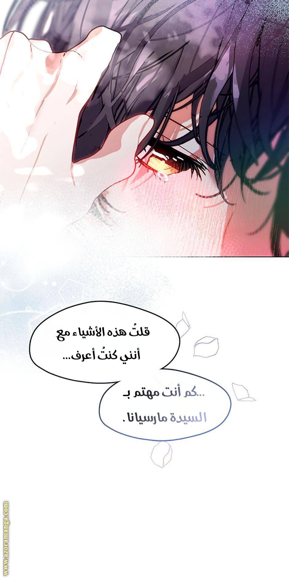 الصفحة 29