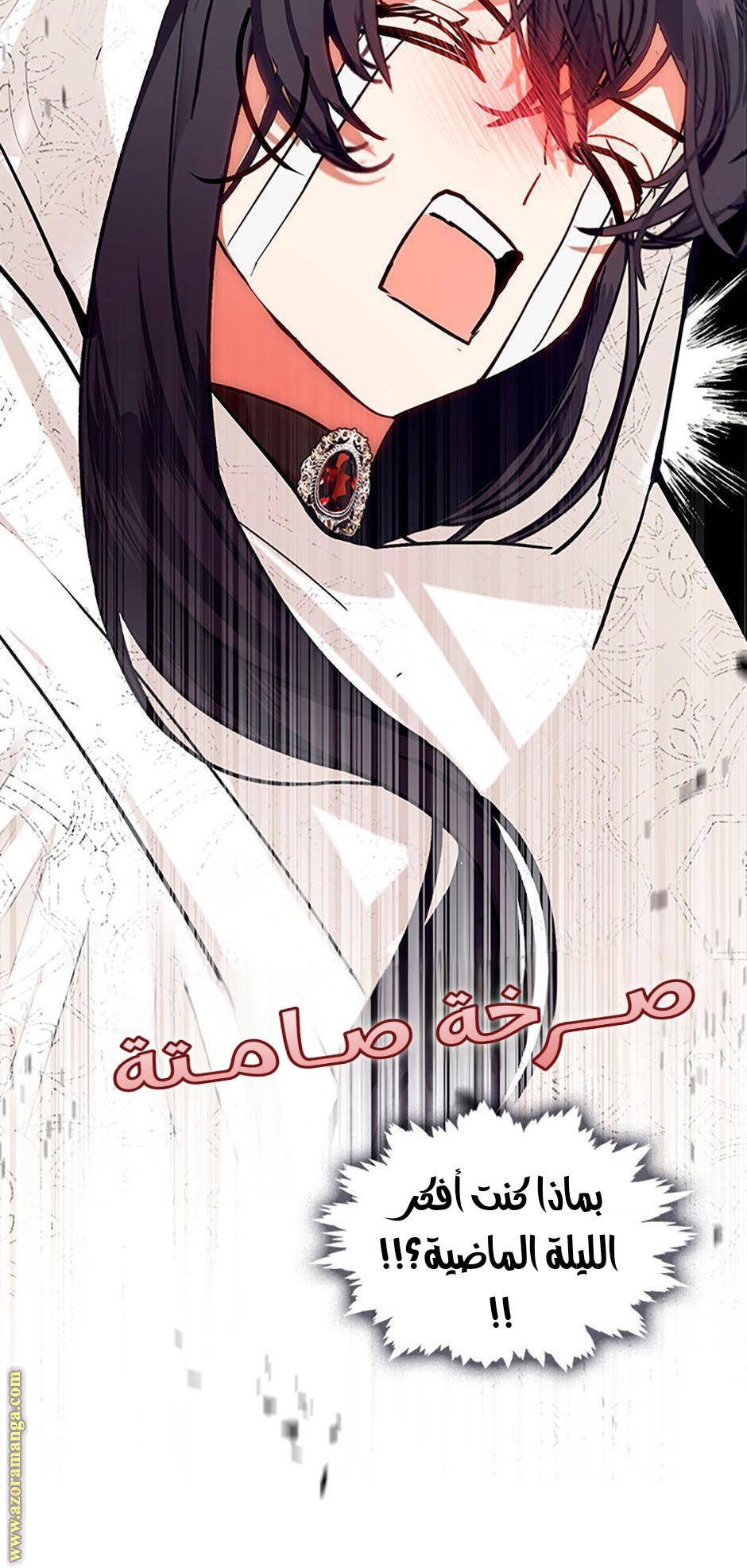 الصفحة 46