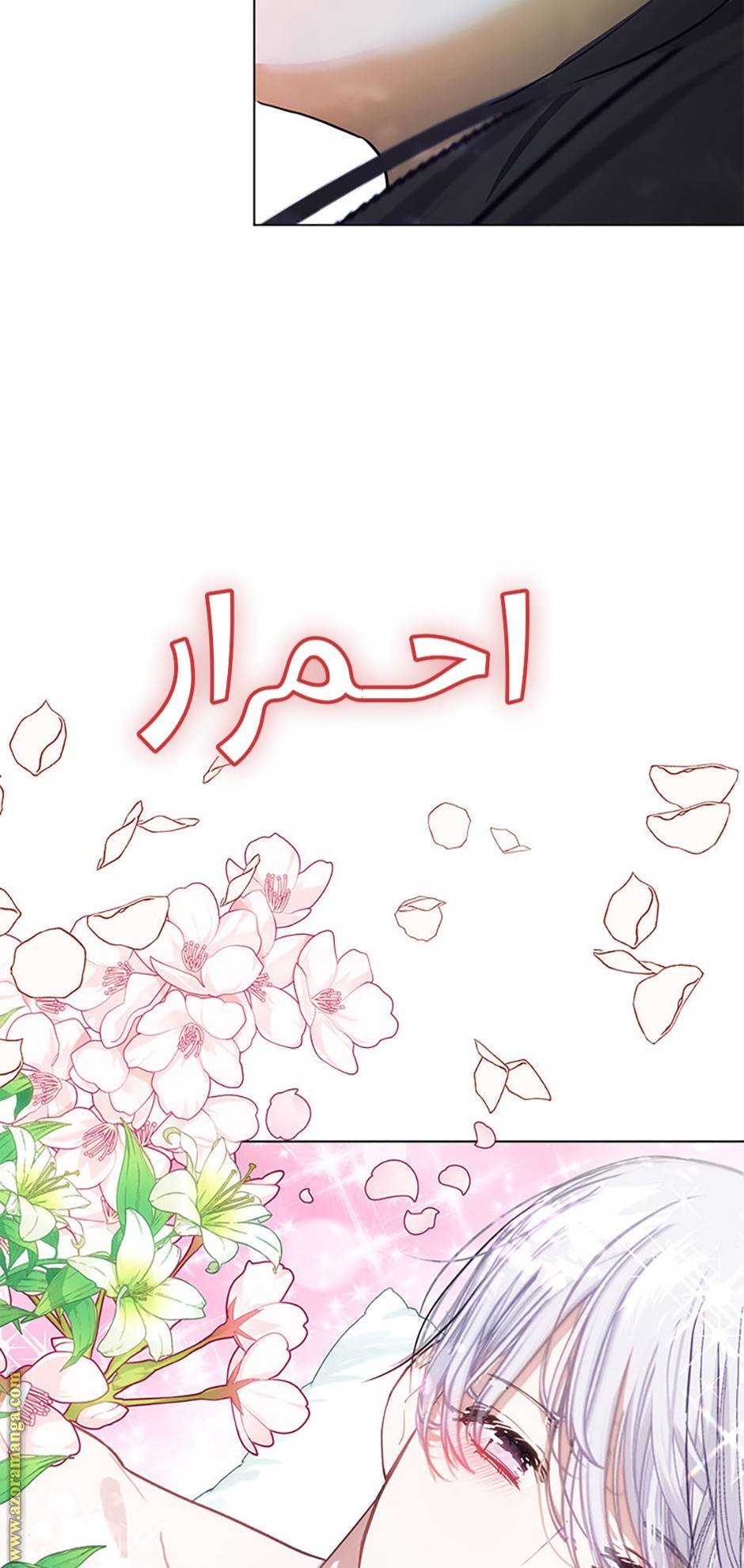 الصفحة 49