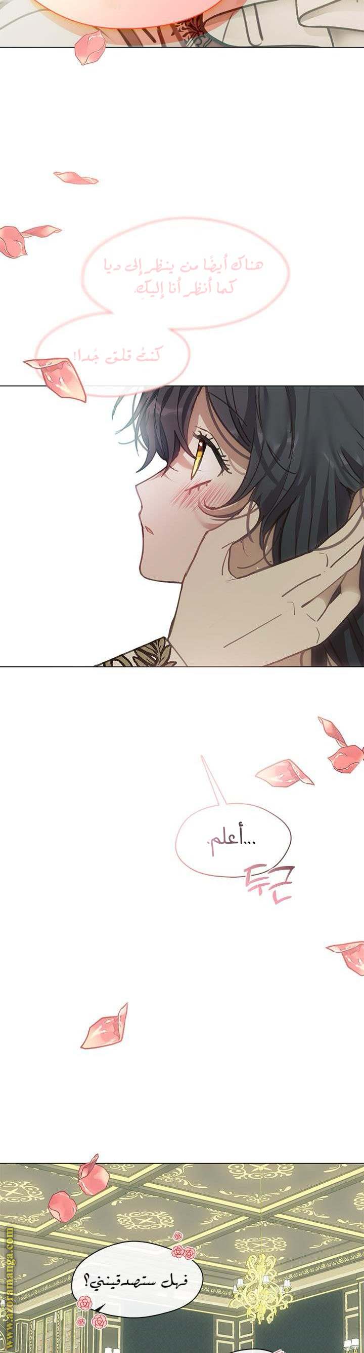 الصفحة 17
