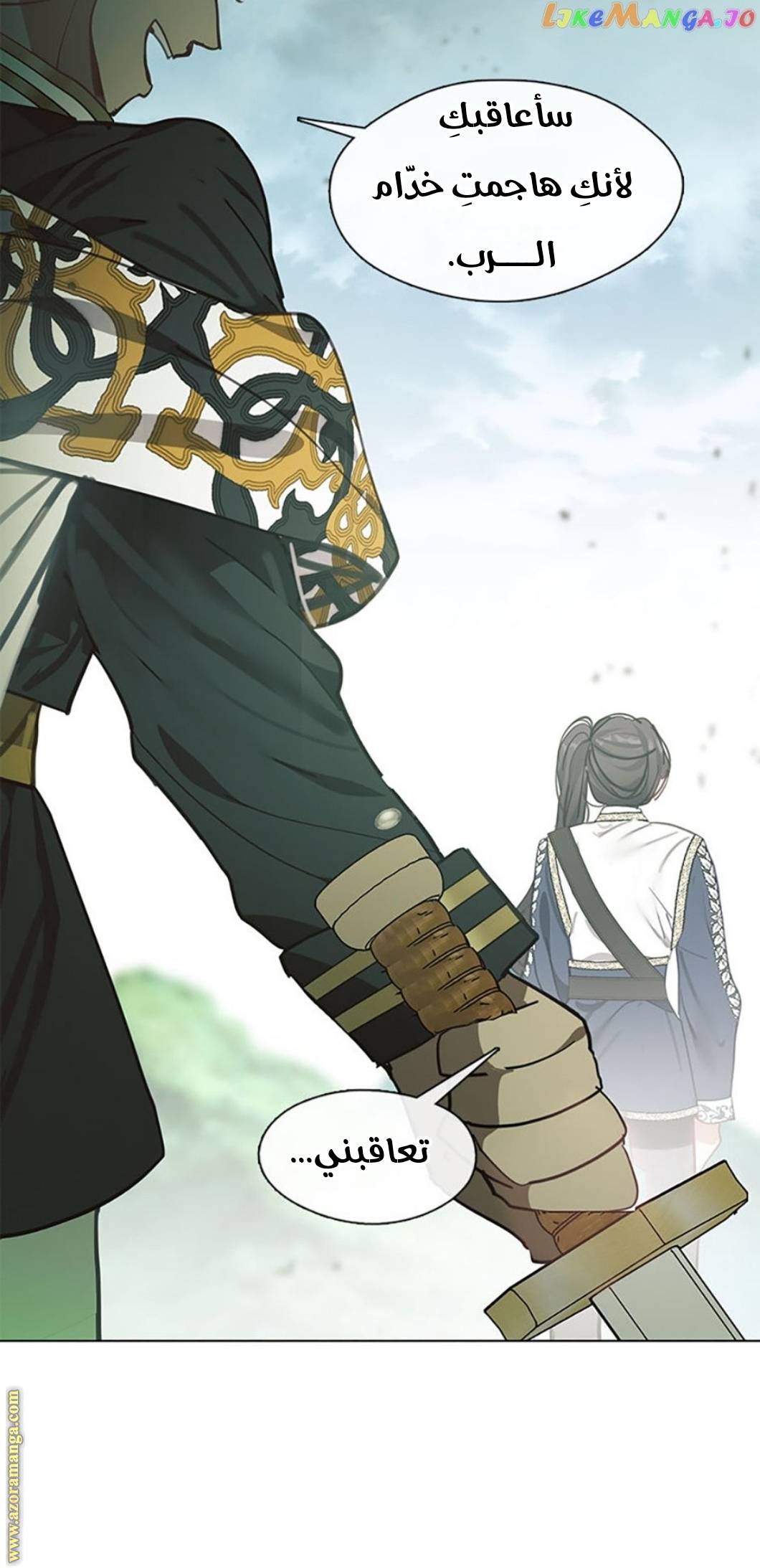 الصفحة 29