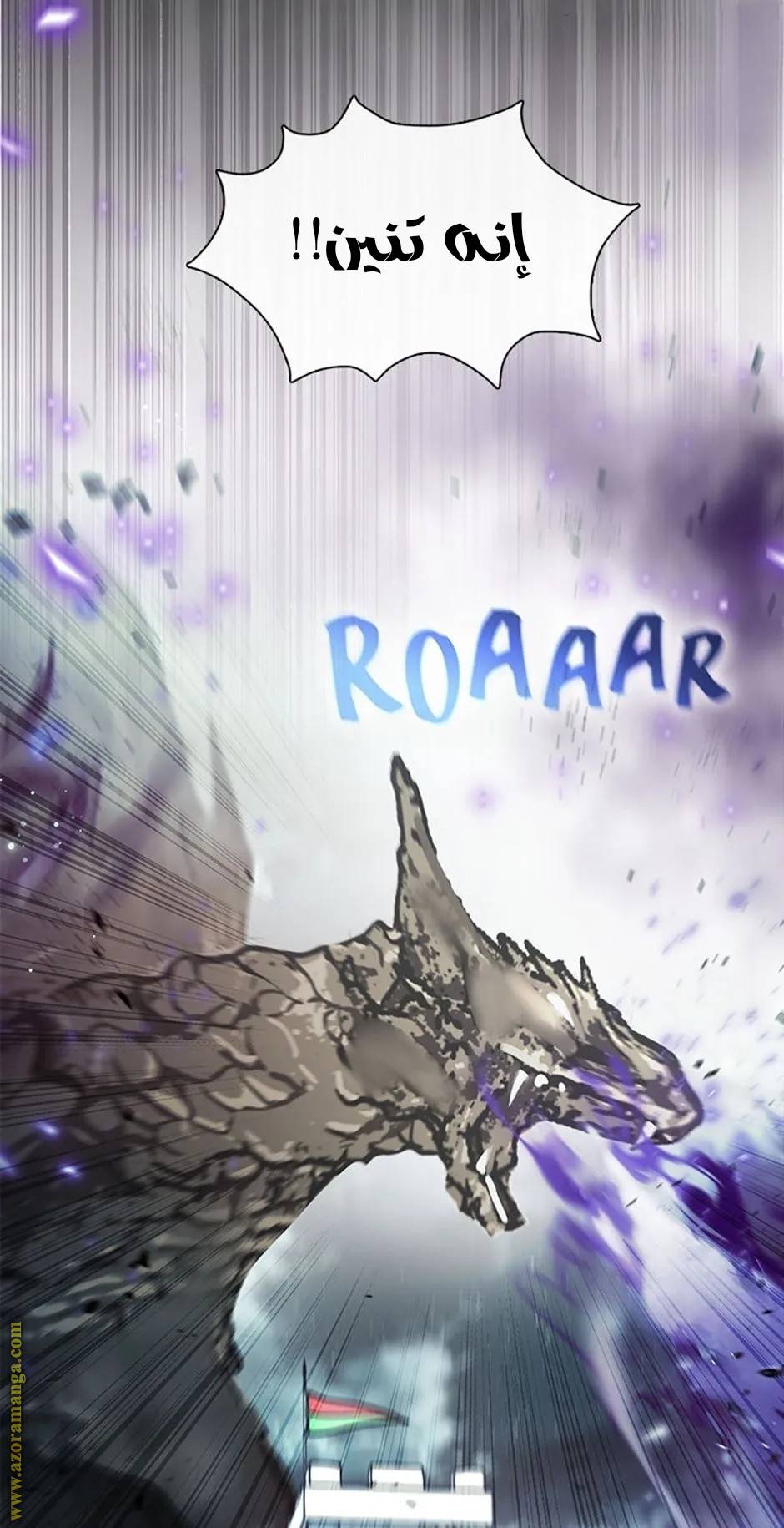 الصفحة 43