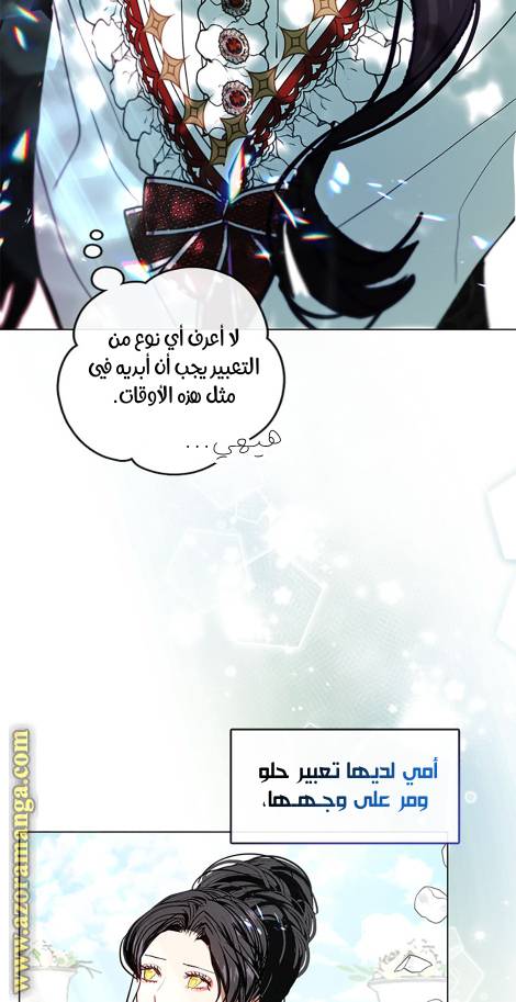 الصفحة 24