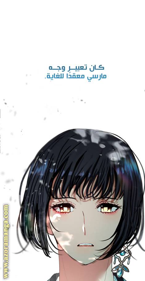 الصفحة 28
