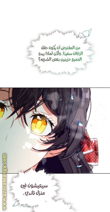 الصفحة 31