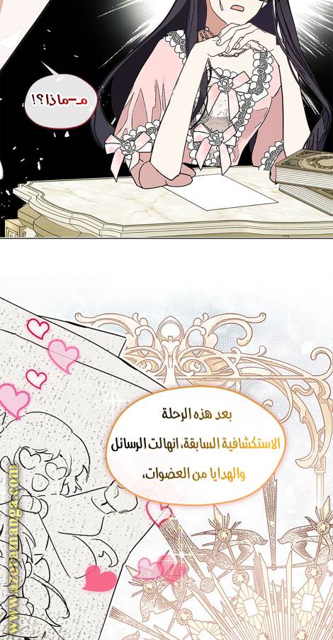 الصفحة 48