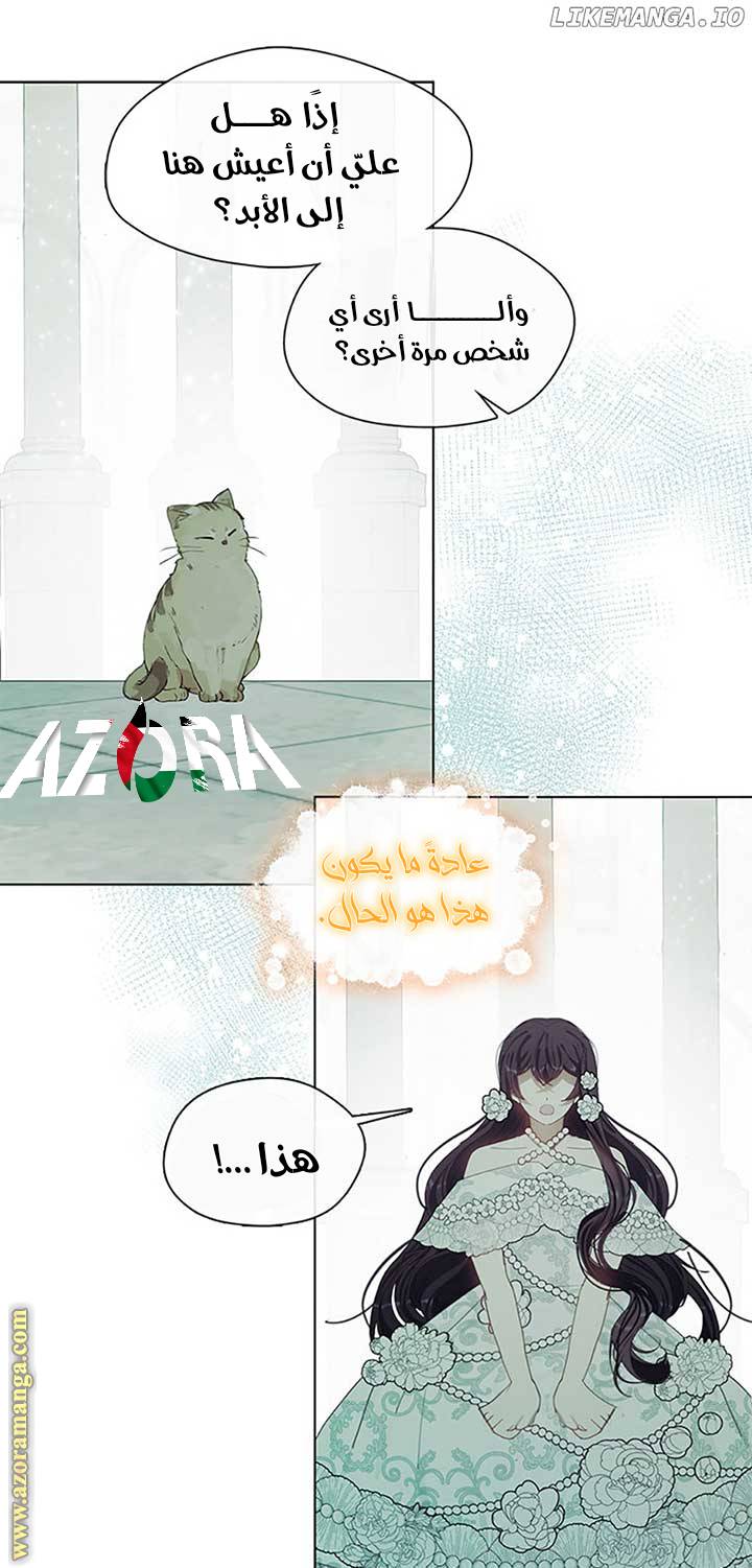 الصفحة 20