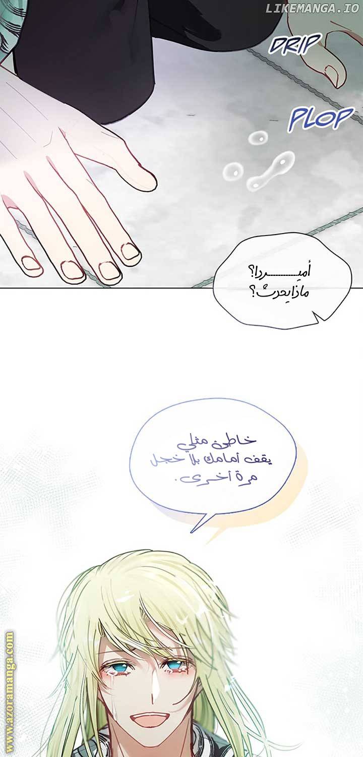 الصفحة 26