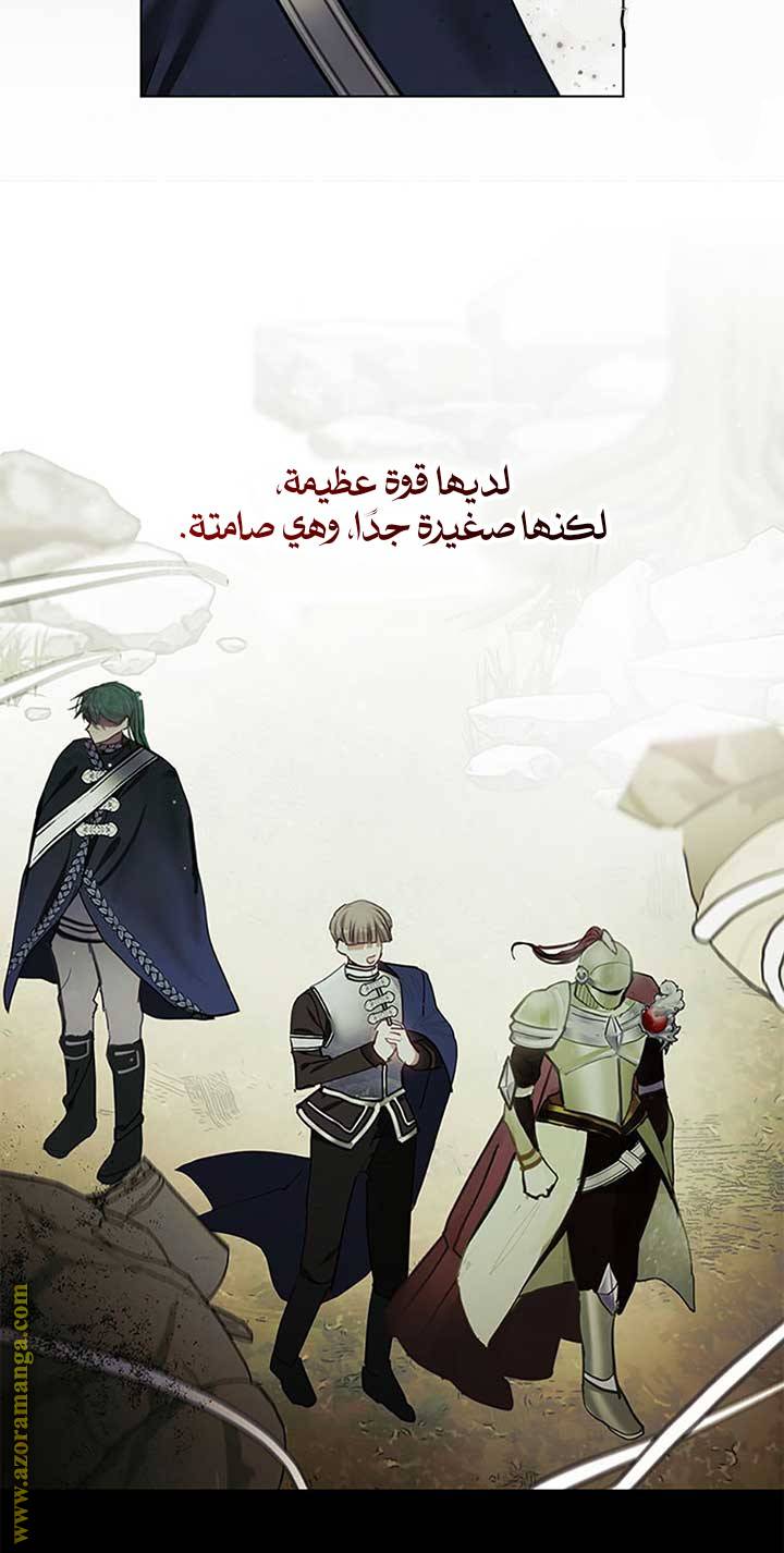 الصفحة 45