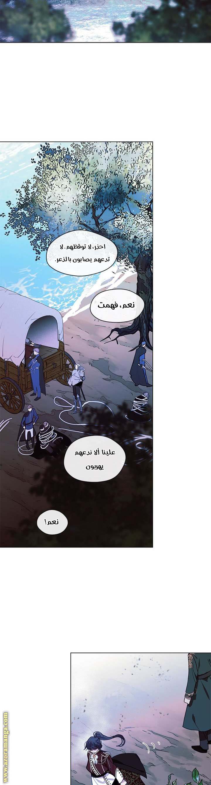 الصفحة 17