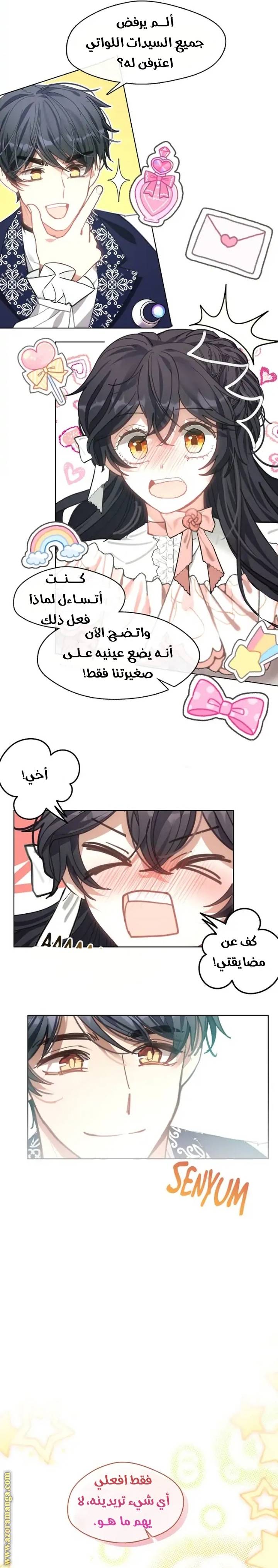 الصفحة 17