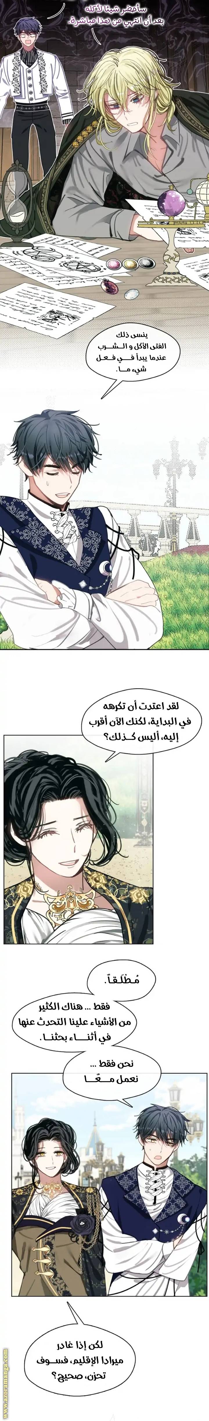 الصفحة 13