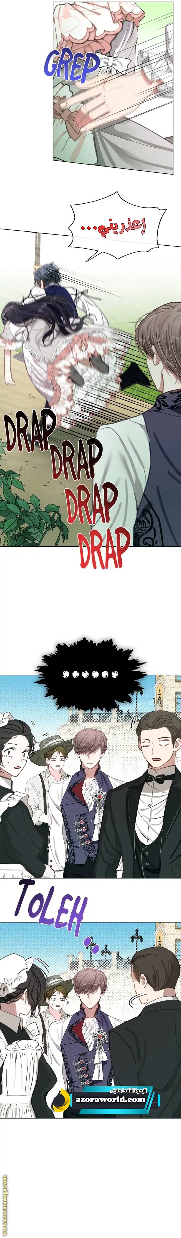 الصفحة 17