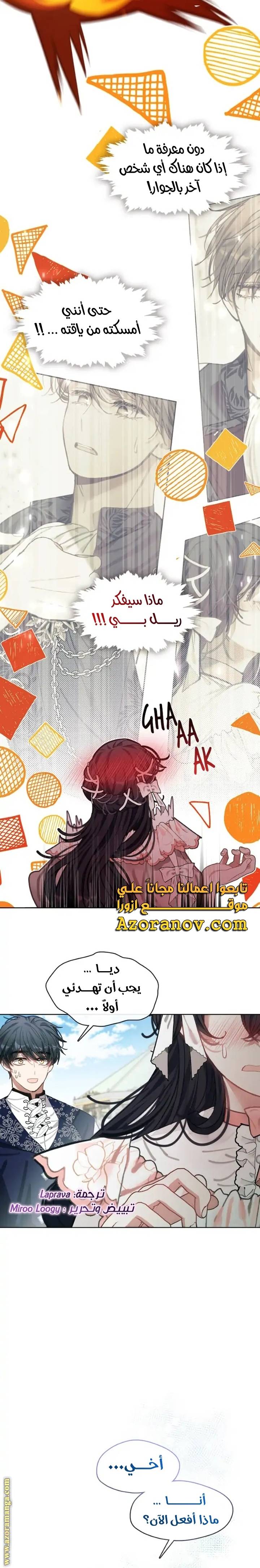 الصفحة 25