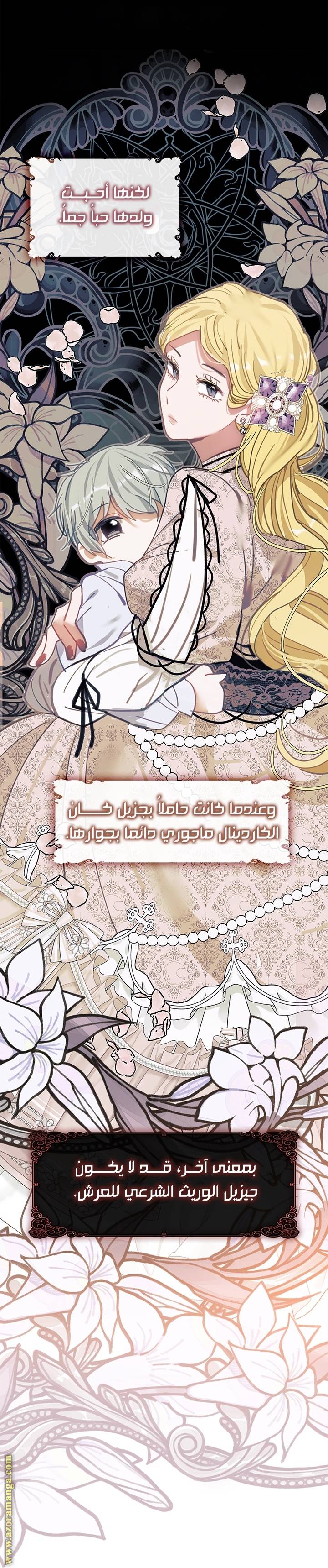 الصفحة 17