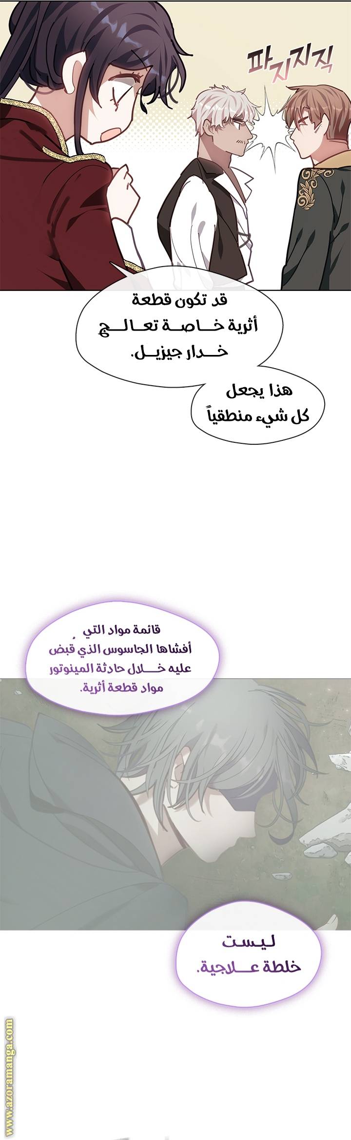 الصفحة 25