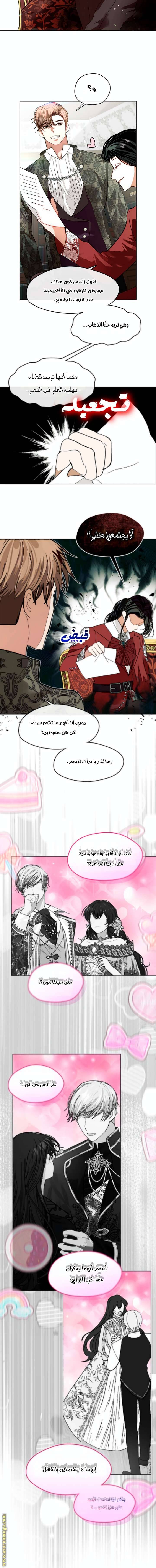 الصفحة 17