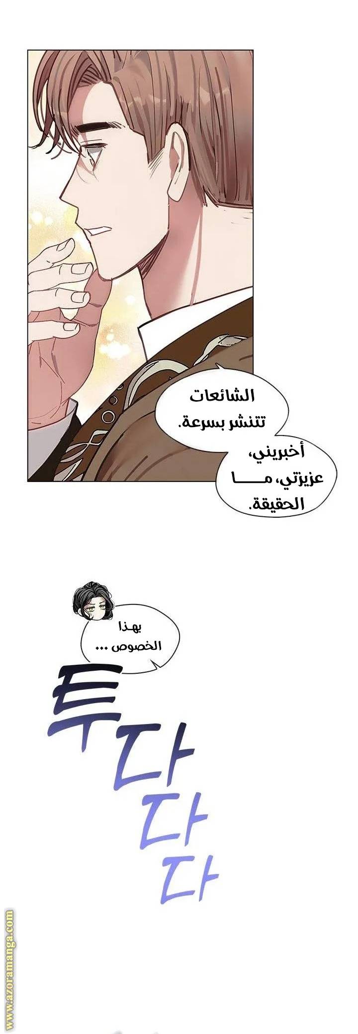 الصفحة 17