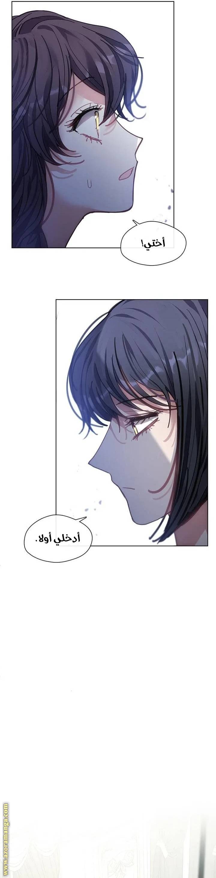 الصفحة 25