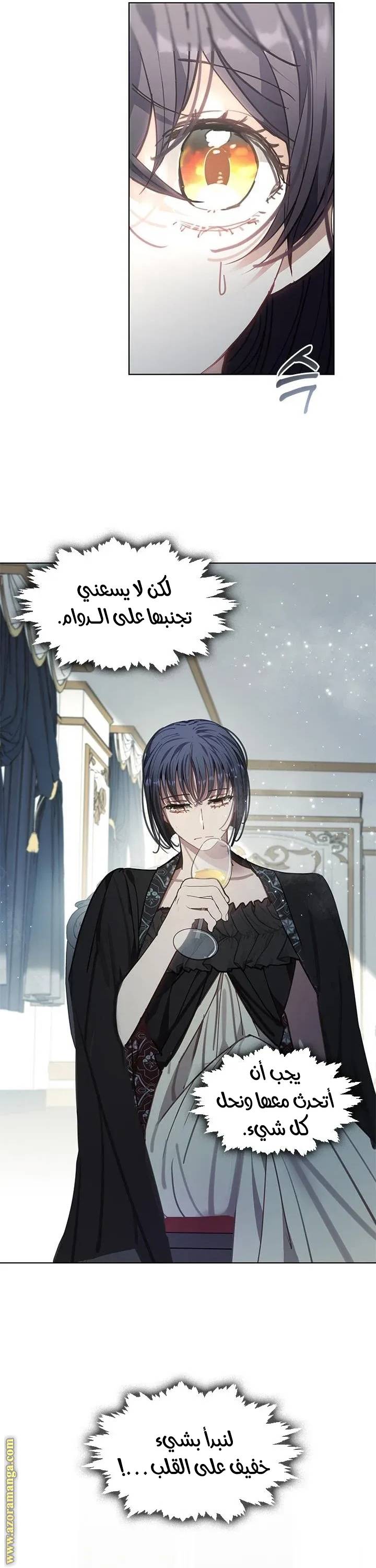 الصفحة 27