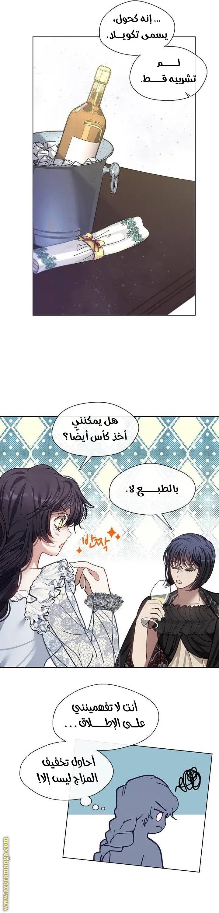 الصفحة 29