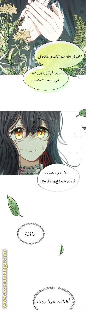 الصفحة 26