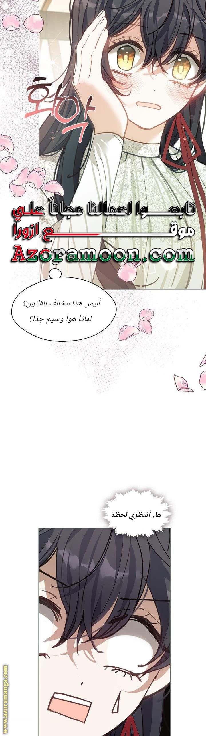 الصفحة 29