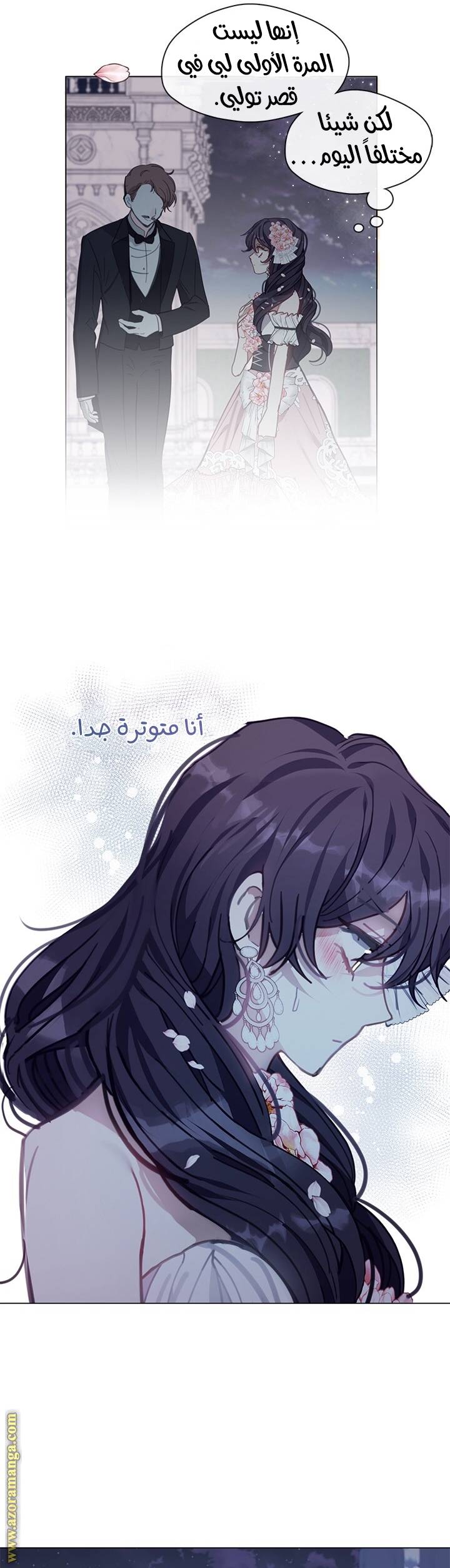 الصفحة 13