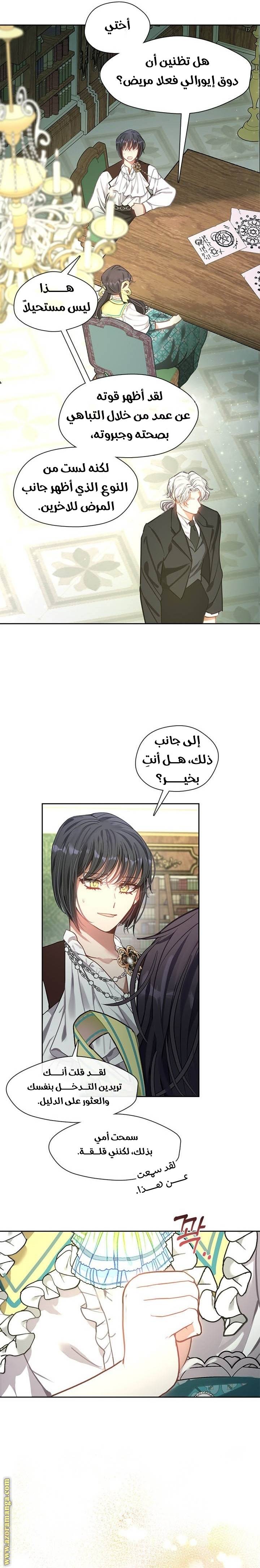 الصفحة 17