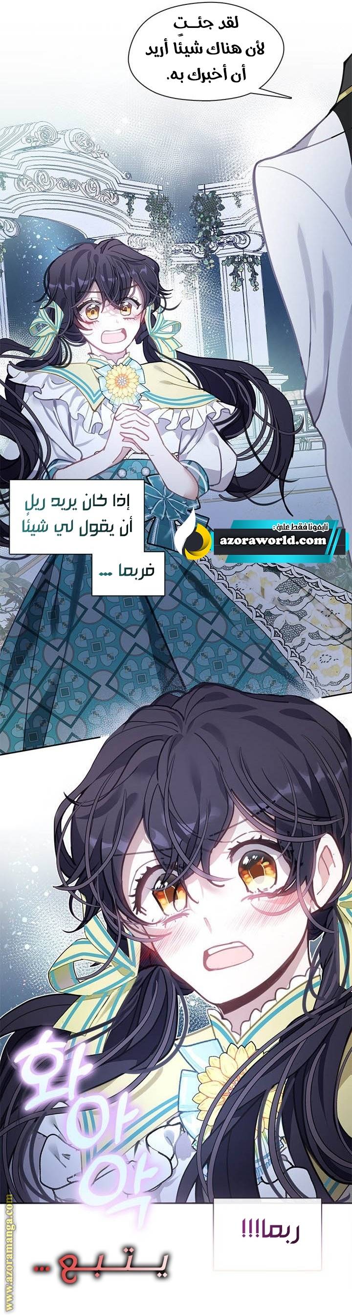 الصفحة 26