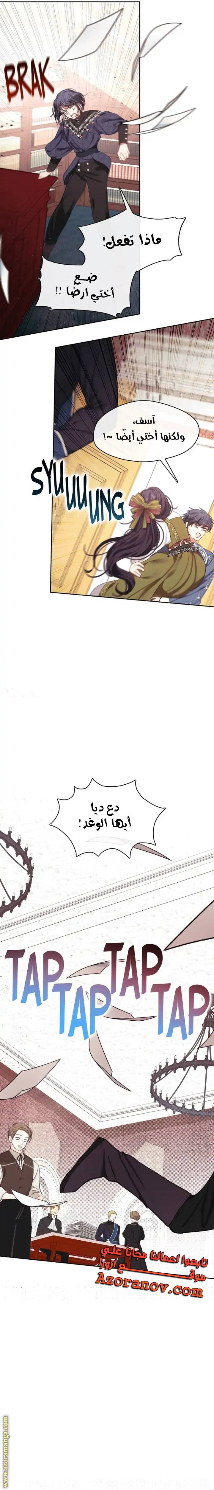 الصفحة 17