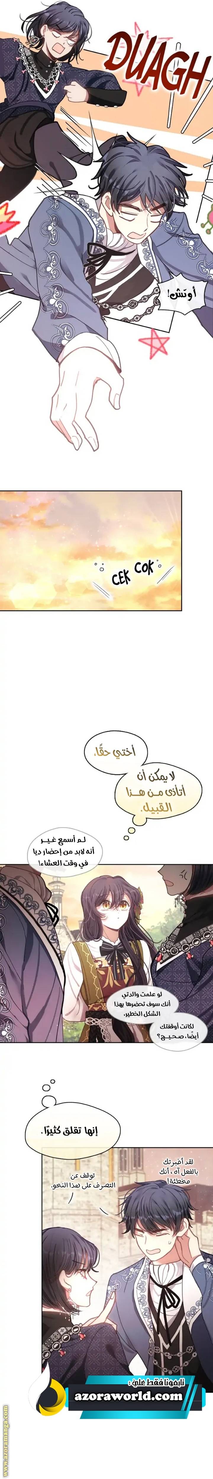 الصفحة 19