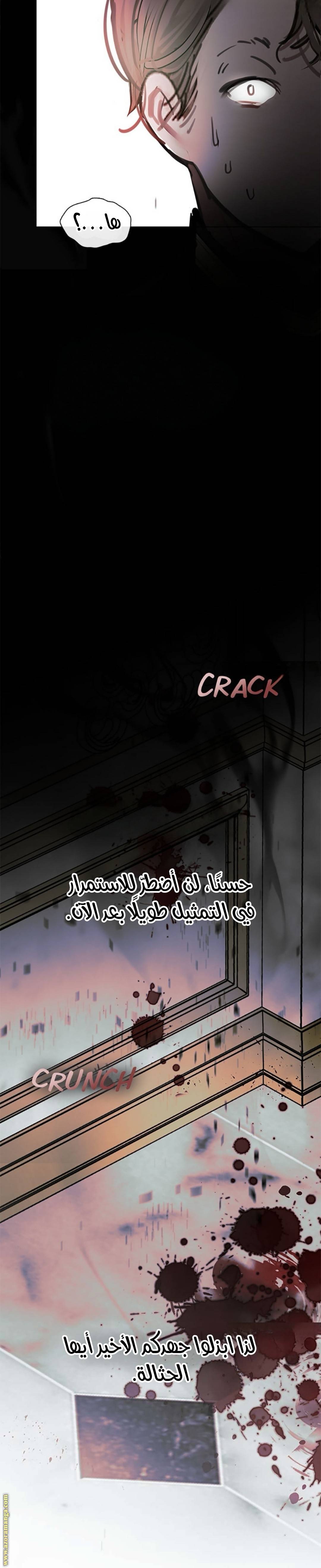 الصفحة 26