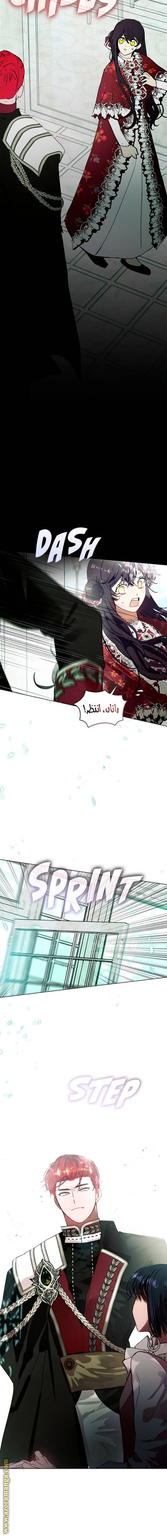 الصفحة 17