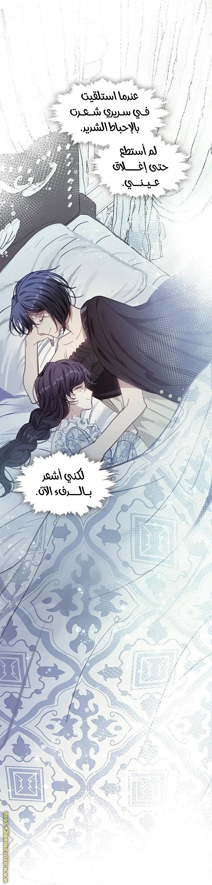 الصفحة 17