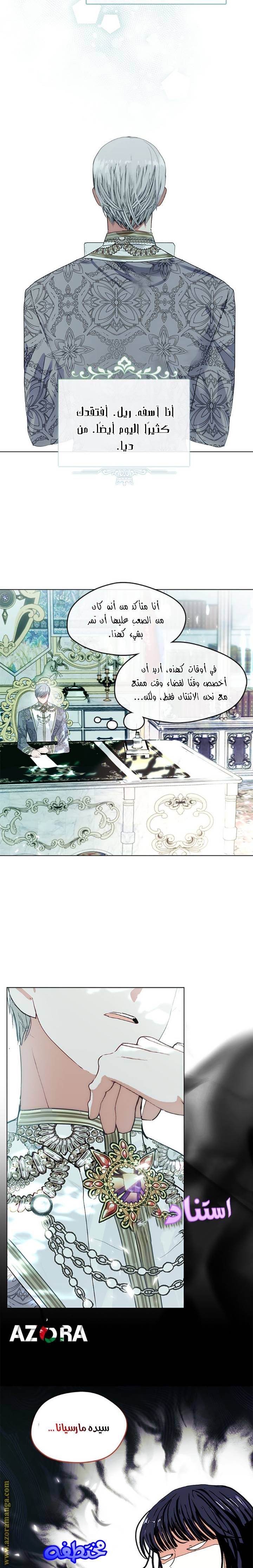 الصفحة 17
