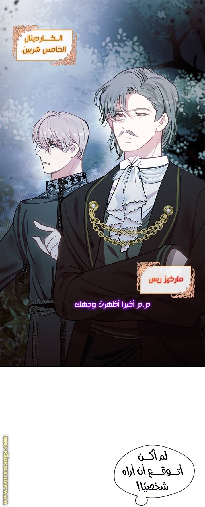 الصفحة 49