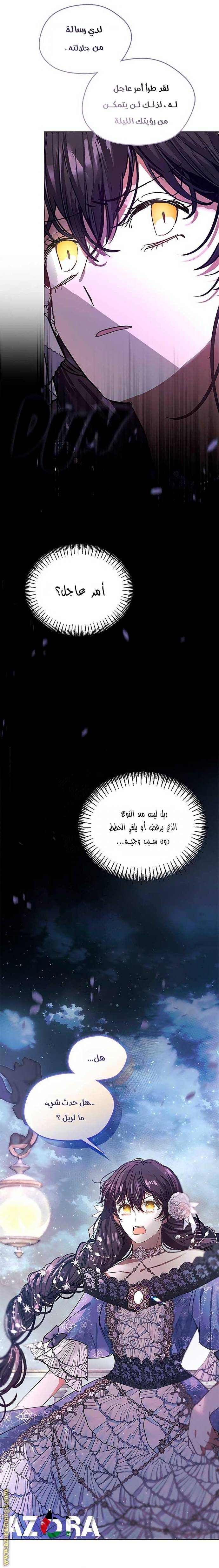 الصفحة 25
