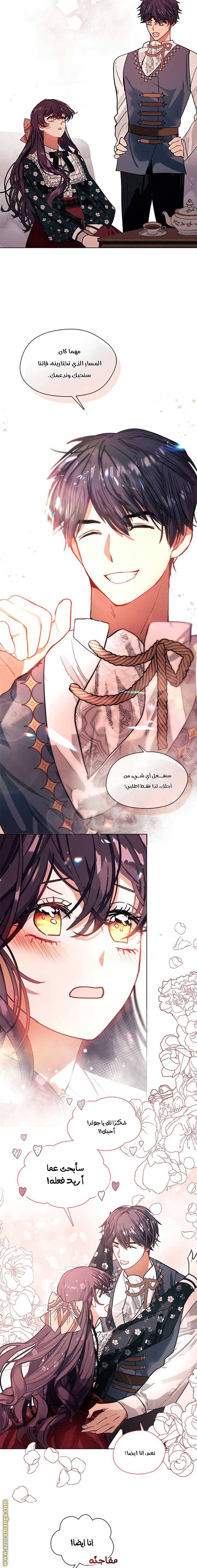 الصفحة 17