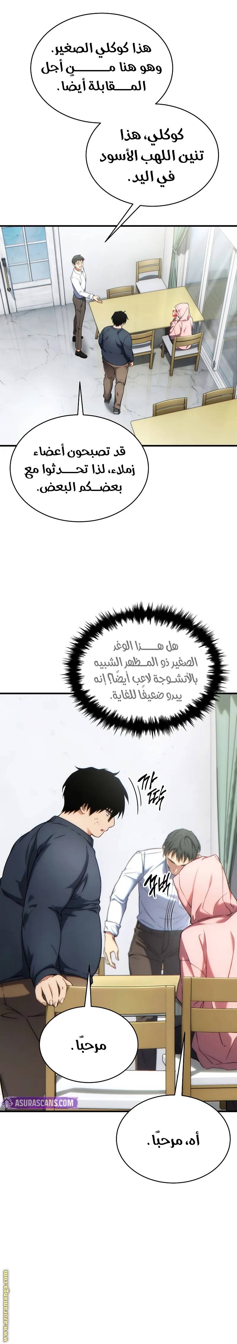 الصفحة 17