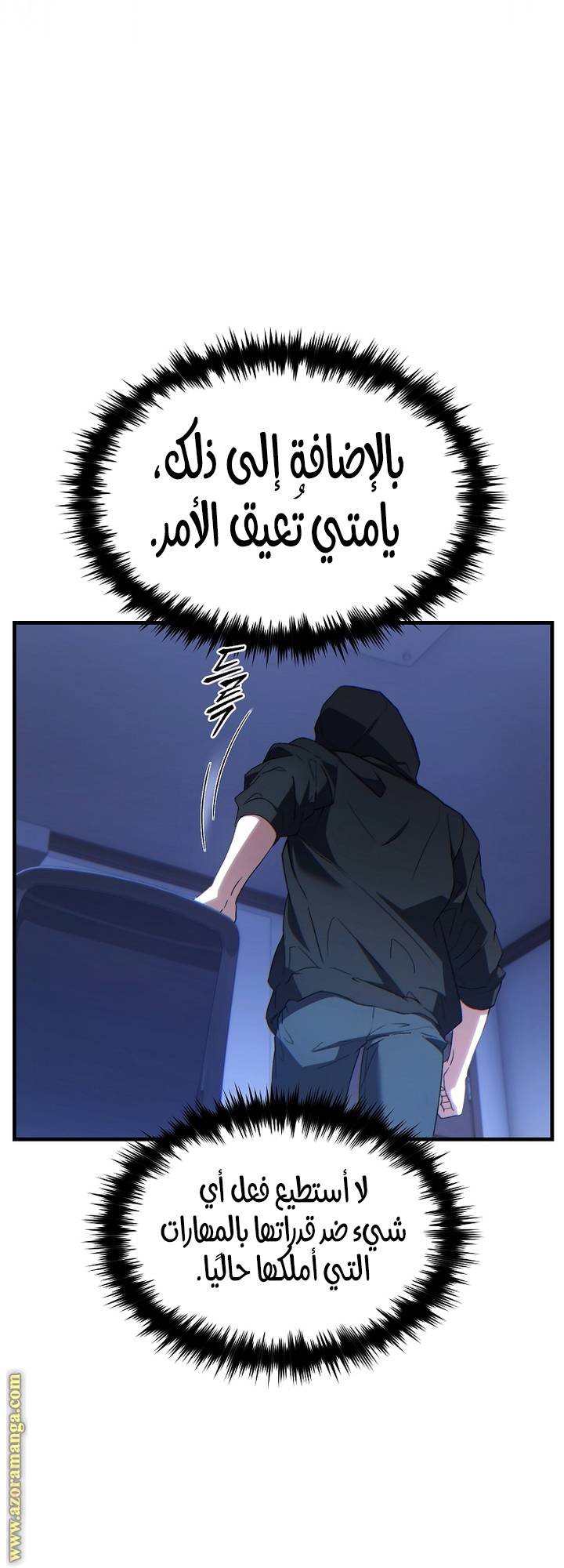 الصفحة 13