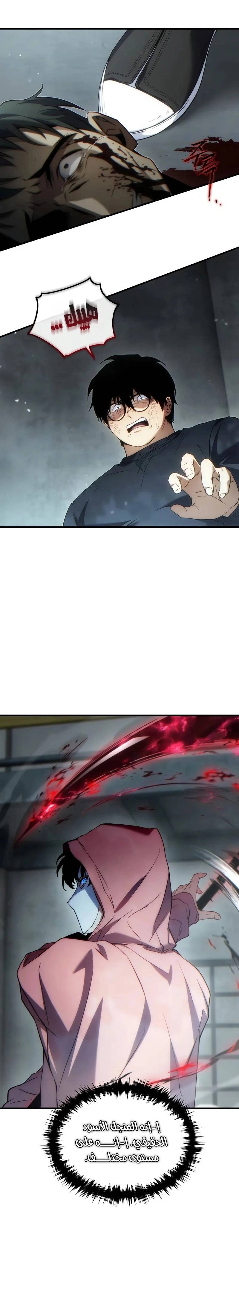 الصفحة 13