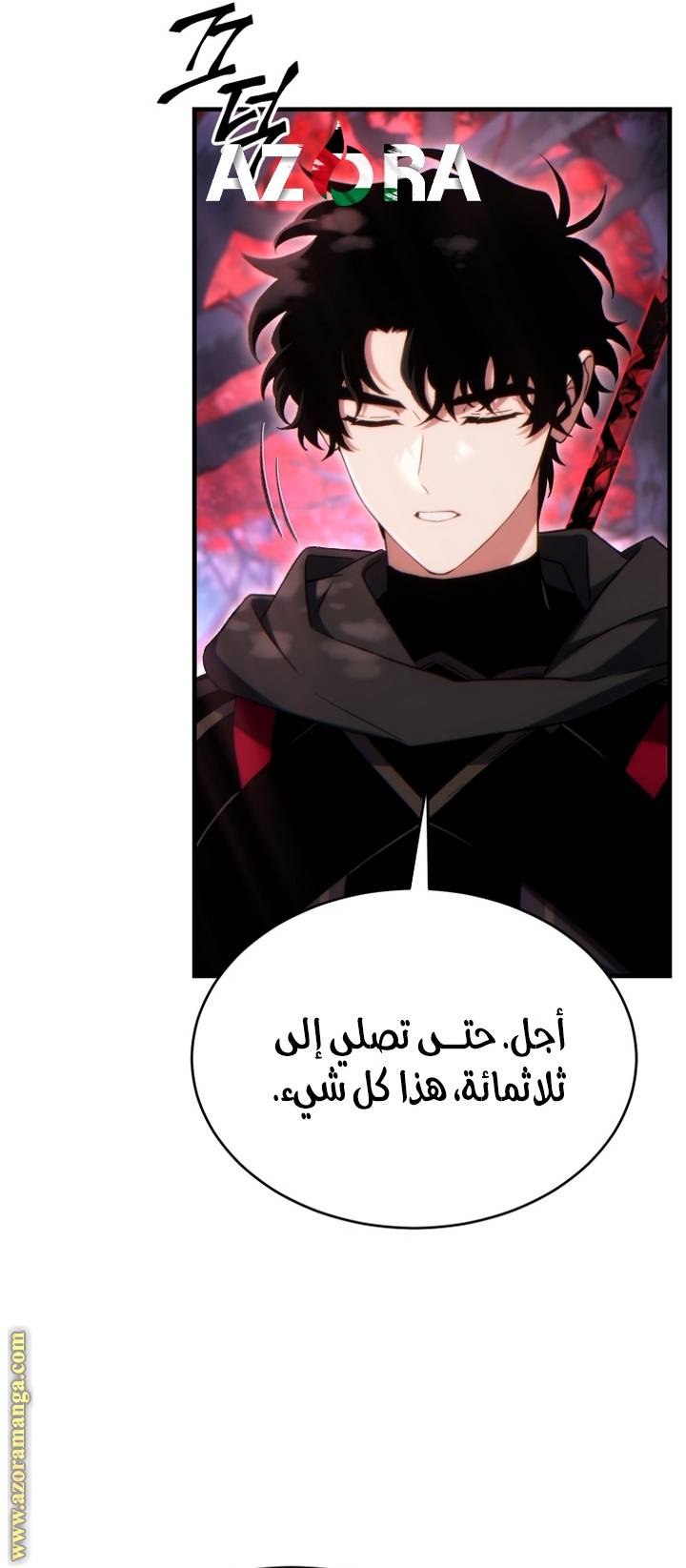 الصفحة 26