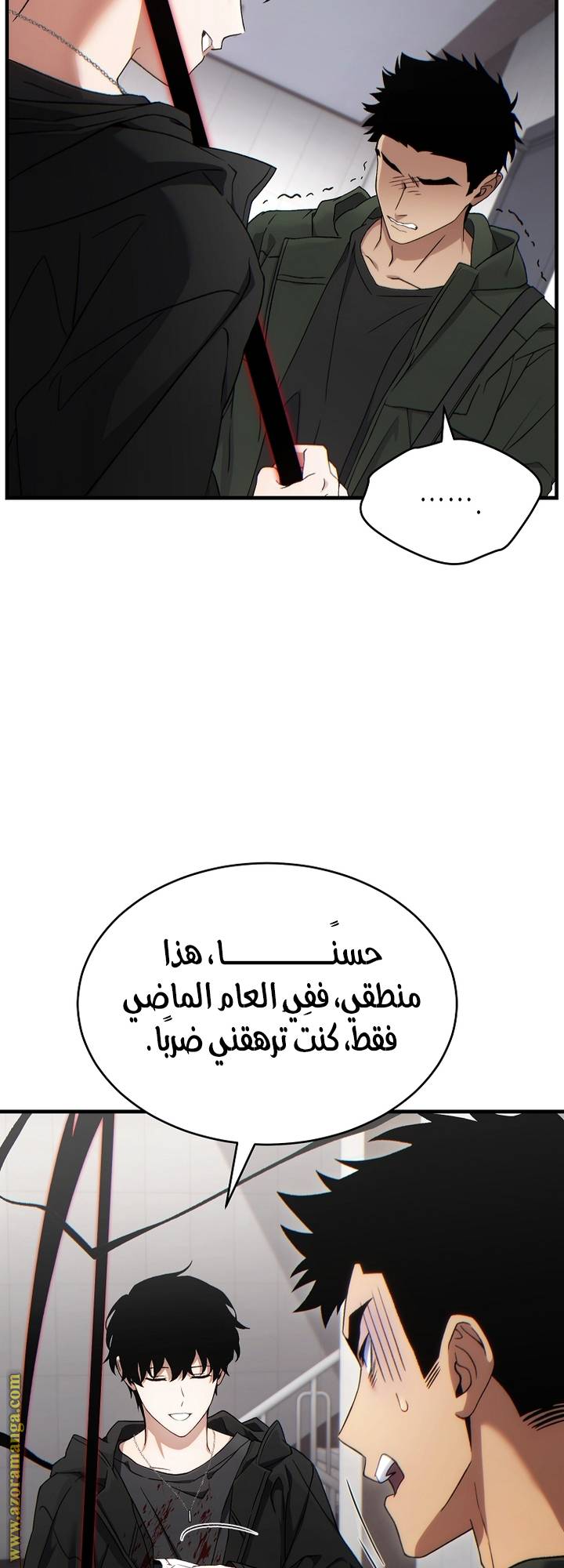 الصفحة 13
