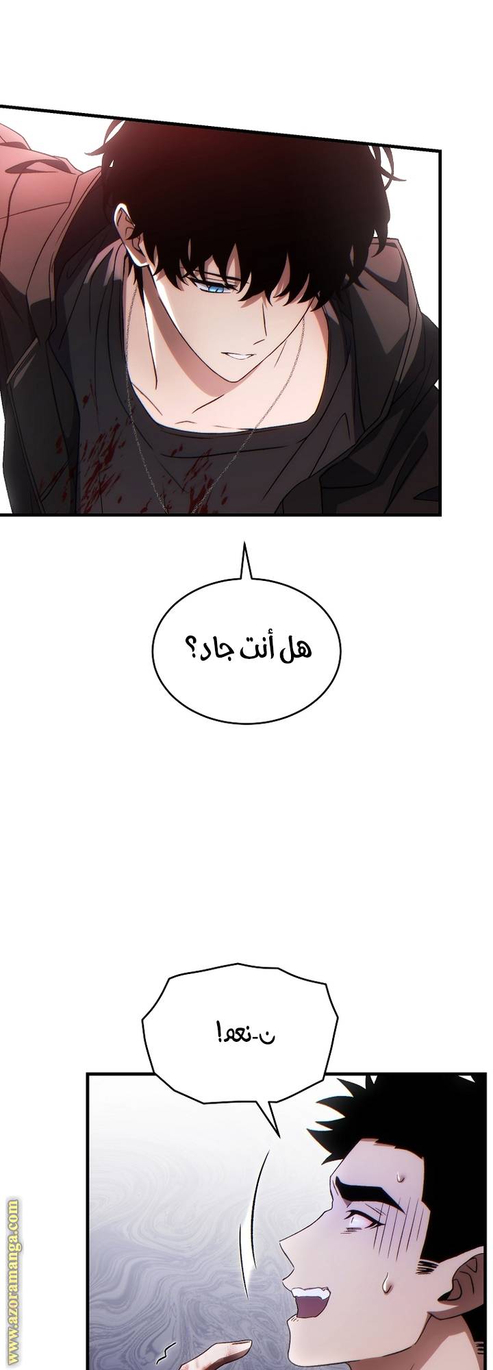 الصفحة 25