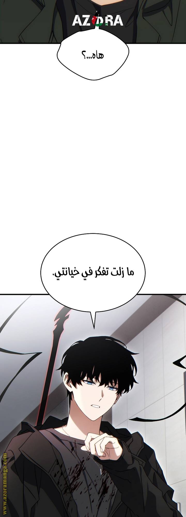 الصفحة 29