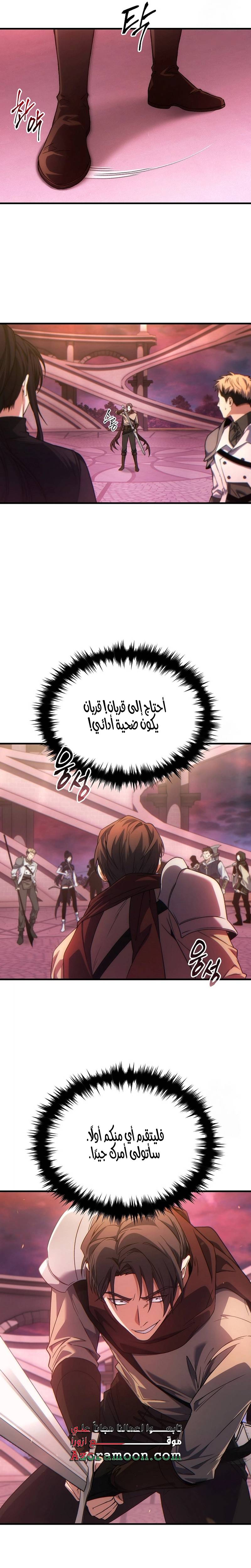 الصفحة 17