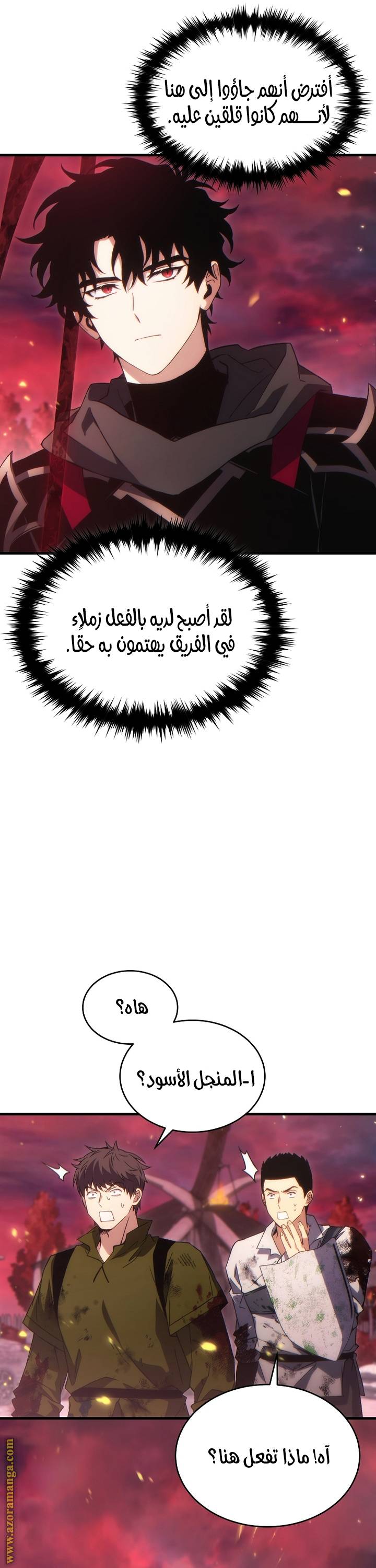 الصفحة 13