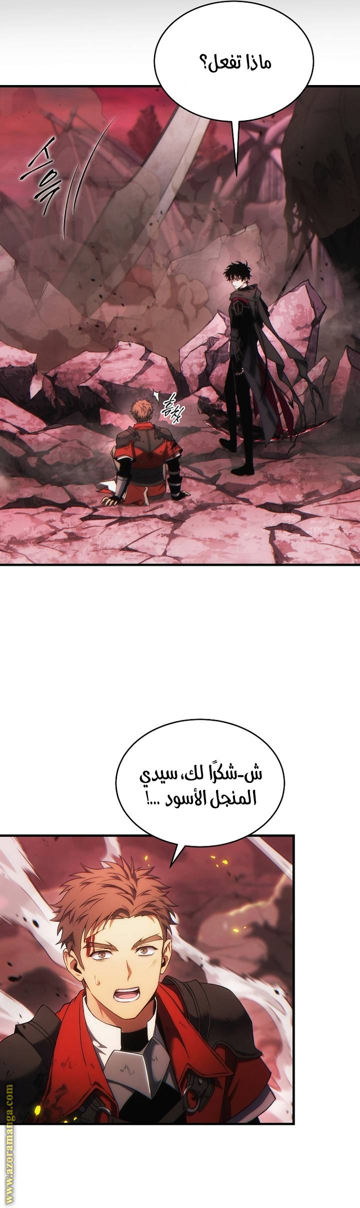 الصفحة 29