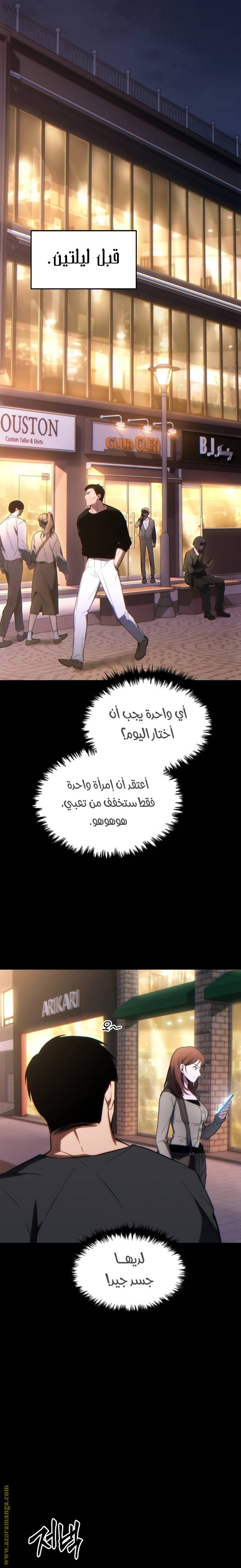 الصفحة 13